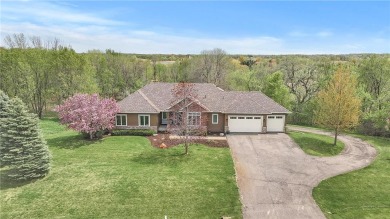 Lake Home For Sale in Independence, Minnesota
