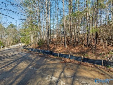 Gorgeous, large lot ready for you to bring your builder and get - photo 2