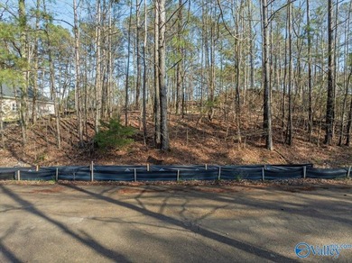 Gorgeous, large lot ready for you to bring your builder and get - photo 3