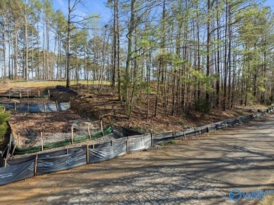 Gorgeous, large lot ready for you to bring your builder and get - photo 4