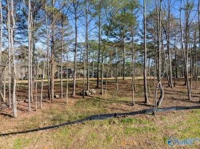 Gorgeous, large lot ready for you to bring your builder and get - photo 5
