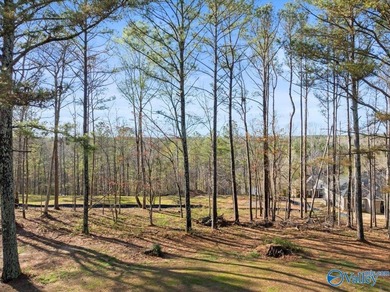 Gorgeous, large lot ready for you to bring your builder and get - photo 6