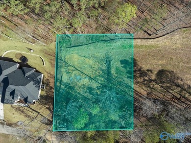 Gorgeous, large lot ready for you to bring your builder and get - photo 8