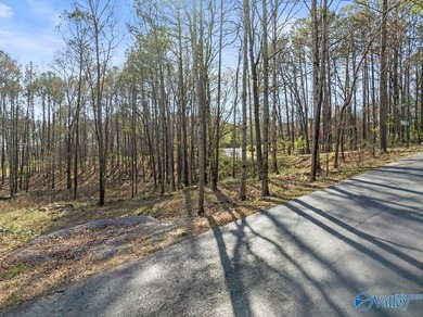 Gorgeous, large lot ready for you to bring your builder and get - photo 3