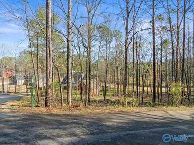 Gorgeous, large lot ready for you to bring your builder and get - photo 4