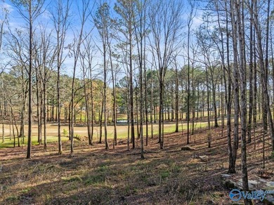 Gorgeous, large lot ready for you to bring your builder and get - photo 5