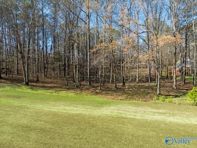 Gorgeous, large lot ready for you to bring your builder and get - photo 6