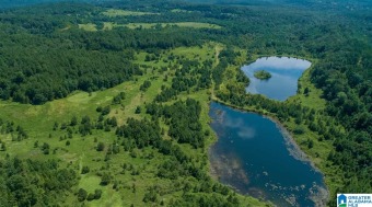 (private lake, pond, creek) Acreage For Sale in Oakman Alabama