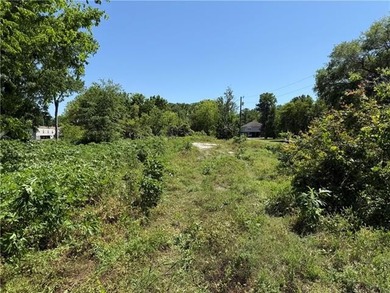 Huge Lot in a World-Class Fishing Community! Don't miss this - photo 1