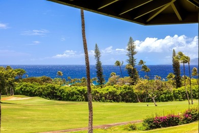 PRICED TO SELL! Attention Golf Lovers & MUST HAVE Panoramic - photo 44