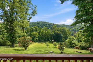 Escape to the serenity of the Holston River with this stunning - photo 48