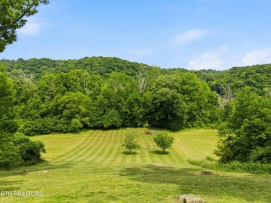 Escape to the serenity of the Holston River with this stunning - photo 49