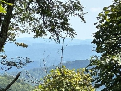 (private lake, pond, creek) Acreage For Sale in Independence Virginia