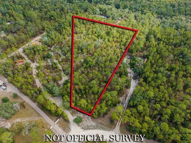 Suwannee River Acreage For Sale in Old Town Florida
