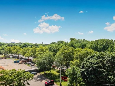 Great Opportunity to own this gorgeous 1 Bedroom 1 Bath co op - photo 13