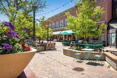 La Vie Lumiere, born from the belief that a home should