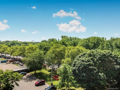 Great Opportunity to own this gorgeous 1 Bedroom 1 Bath co op - photo 14