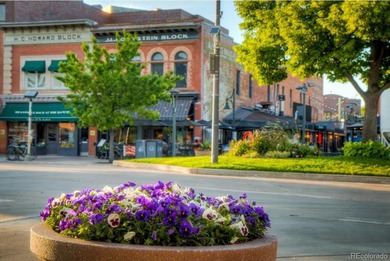 La Vie Lumiere, born from the belief that a home should