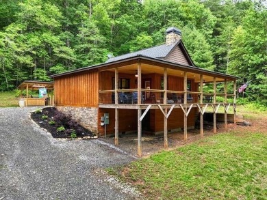 Lake Home For Sale in Hiawassee, Georgia