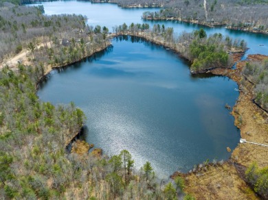 Lake Lot SOLD! in Minocqua, Wisconsin