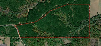 Lake Acreage For Sale in Franklin, Georgia