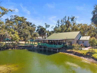 (private lake, pond, creek) Home For Sale in Steinhatchee Florida