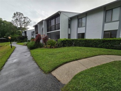 Lake Condo For Sale in Tarpon Springs, Florida
