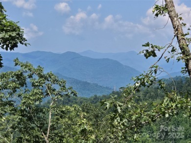 Lake Acreage For Sale in Canton, North Carolina
