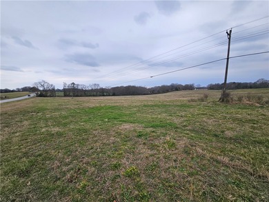 Lake Hartwell Acreage For Sale in Townville South Carolina