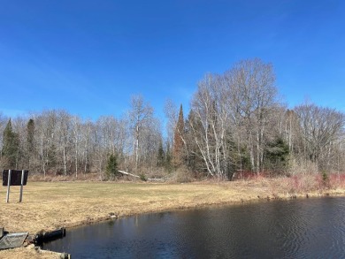 Pine Lake - Forest County Acreage Sale Pending in  Wisconsin