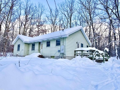 Higgins Lake Home Active Under Contract in Roscommon Michigan