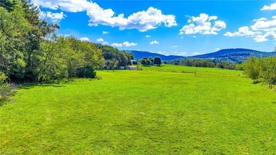 (private lake, pond, coastal) Acreage Active Under Contract in Sparta North Carolina