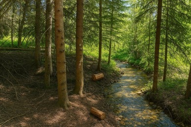 Private 10 -Acres Retreat Tucked between Trout Creek and - photo 16
