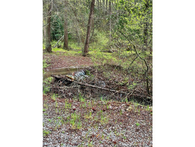 Private 10 -Acres Retreat Tucked between Trout Creek and - photo 27