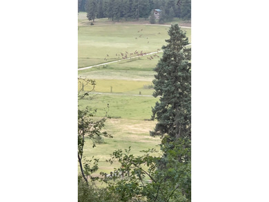 Private 10 -Acres Retreat Tucked between Trout Creek and - photo 29