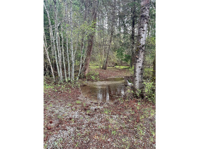 Private 10 -Acres Retreat Tucked between Trout Creek and - photo 31