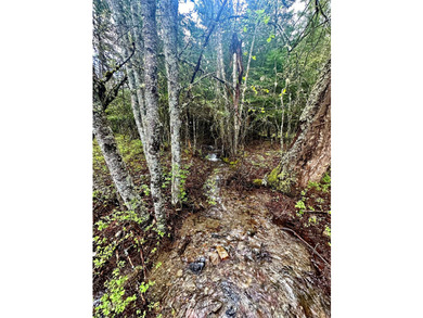 Private 10 -Acres Retreat Tucked between Trout Creek and - photo 33