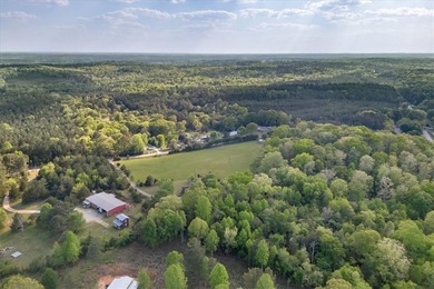 Situated at 125 and 135 Seneca River Rd in Seneca, SC, this - photo 42