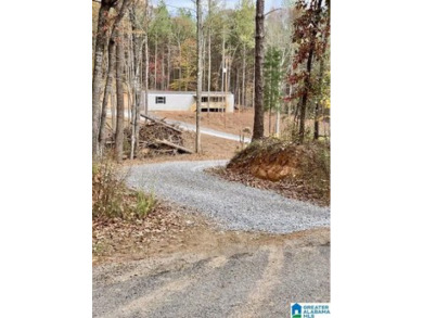 Lake Home For Sale in Lineville, Alabama