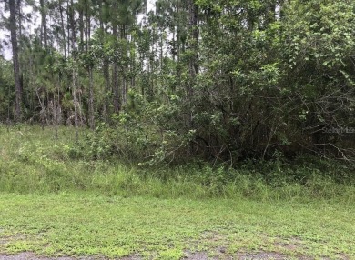 Lake Lot For Sale in Indian Lake Estates, Florida