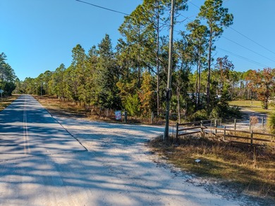 Exceptional opportunity to own almost 4 acres in the - photo 5