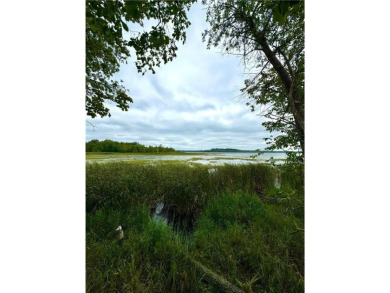 (private lake, pond, creek) Lot For Sale in Holmesville Twp Minnesota