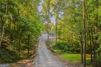 Lake Home For Sale in Ellijay, Georgia