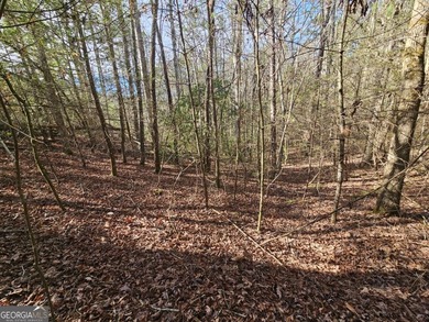 Coosawattee River Lot For Sale in Ellijay Georgia