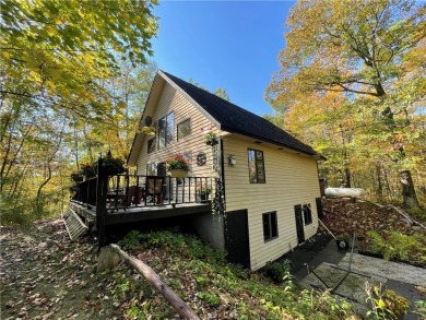 Lake Home For Sale in Weyerhaeuser, Wisconsin