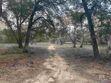 (private lake, pond, coastal) Acreage For Sale in Lillian Alabama