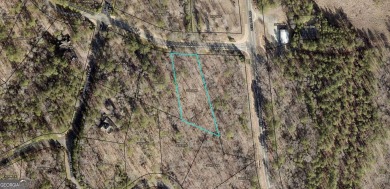 Lake Lot For Sale in Ellijay, Georgia