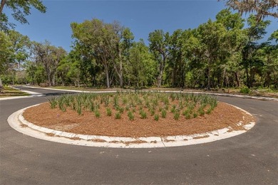 Welcome to The Canopy, a brand-new 25 lot development on - photo 26
