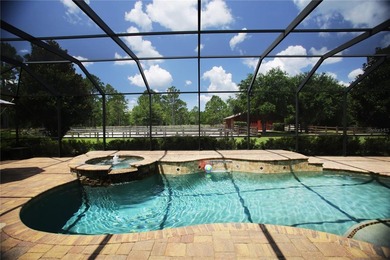 Discover one of Palm Coast's most extraordinary lifestyle - photo 41