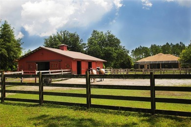 Discover one of Palm Coast's most extraordinary lifestyle - photo 50